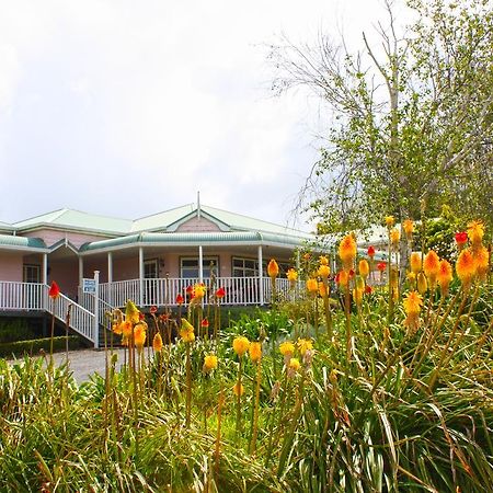 Bed and breakfast Matakohe House Extérieur photo
